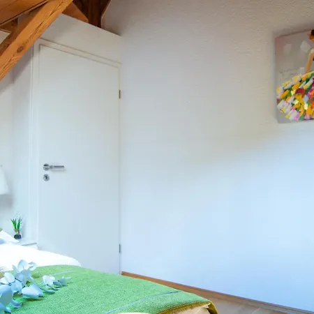 Wellness Mitten In Der Wasserfallstadt Triberg Apartment *