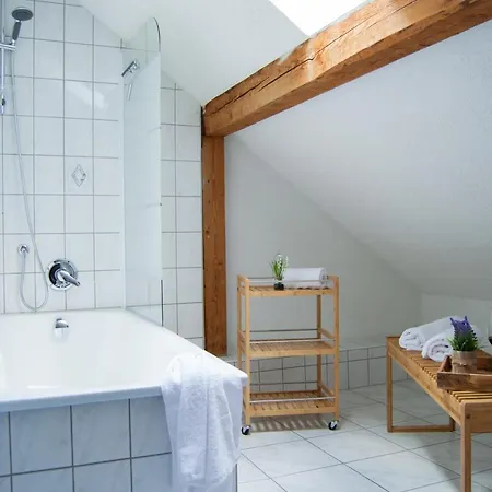 Apartment Wellness Mitten In Der Wasserfallstadt Triberg *