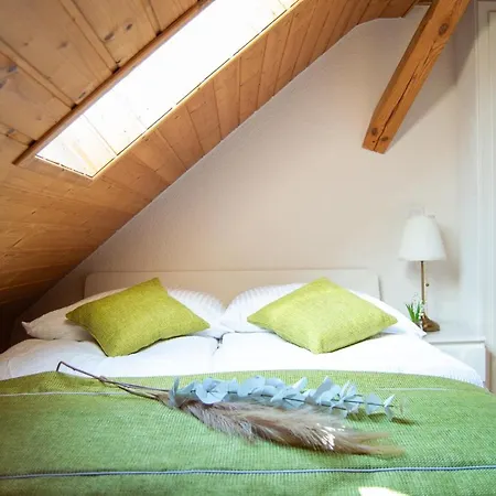 Apartment Wellness Mitten In Der Wasserfallstadt Triberg