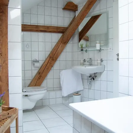 Wellness Mitten In Der Wasserfallstadt Triberg Apartment *