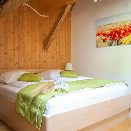 Wellness Mitten In Der Wasserfallstadt Triberg Apartment