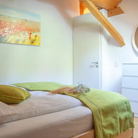 Wellness Mitten In Der Wasserfallstadt Triberg Apartment
