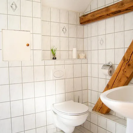 Daire Wellness Mitten In Der Wasserfallstadt Triberg *