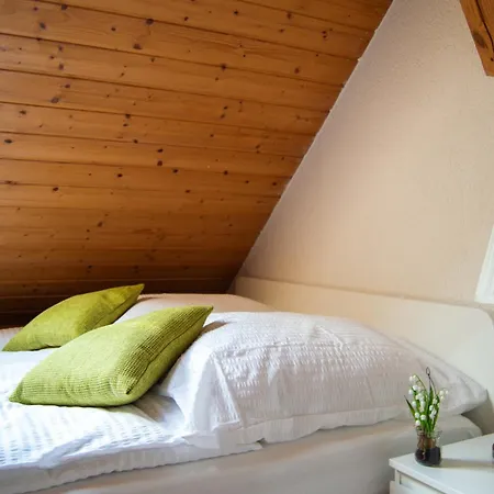 Wellness Mitten In Der Wasserfallstadt Triberg Apartment *